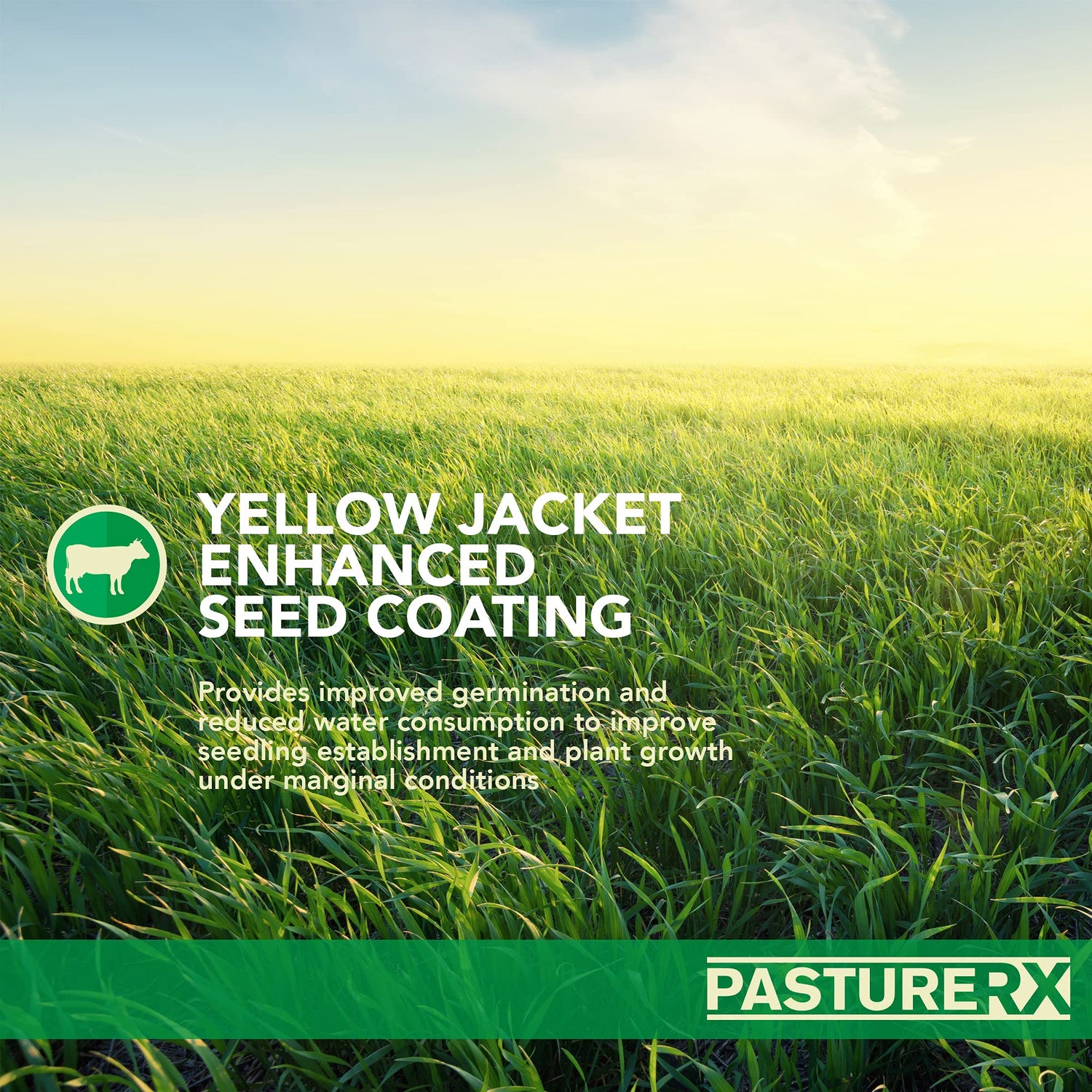 PastureRX Premium Forage Mixture