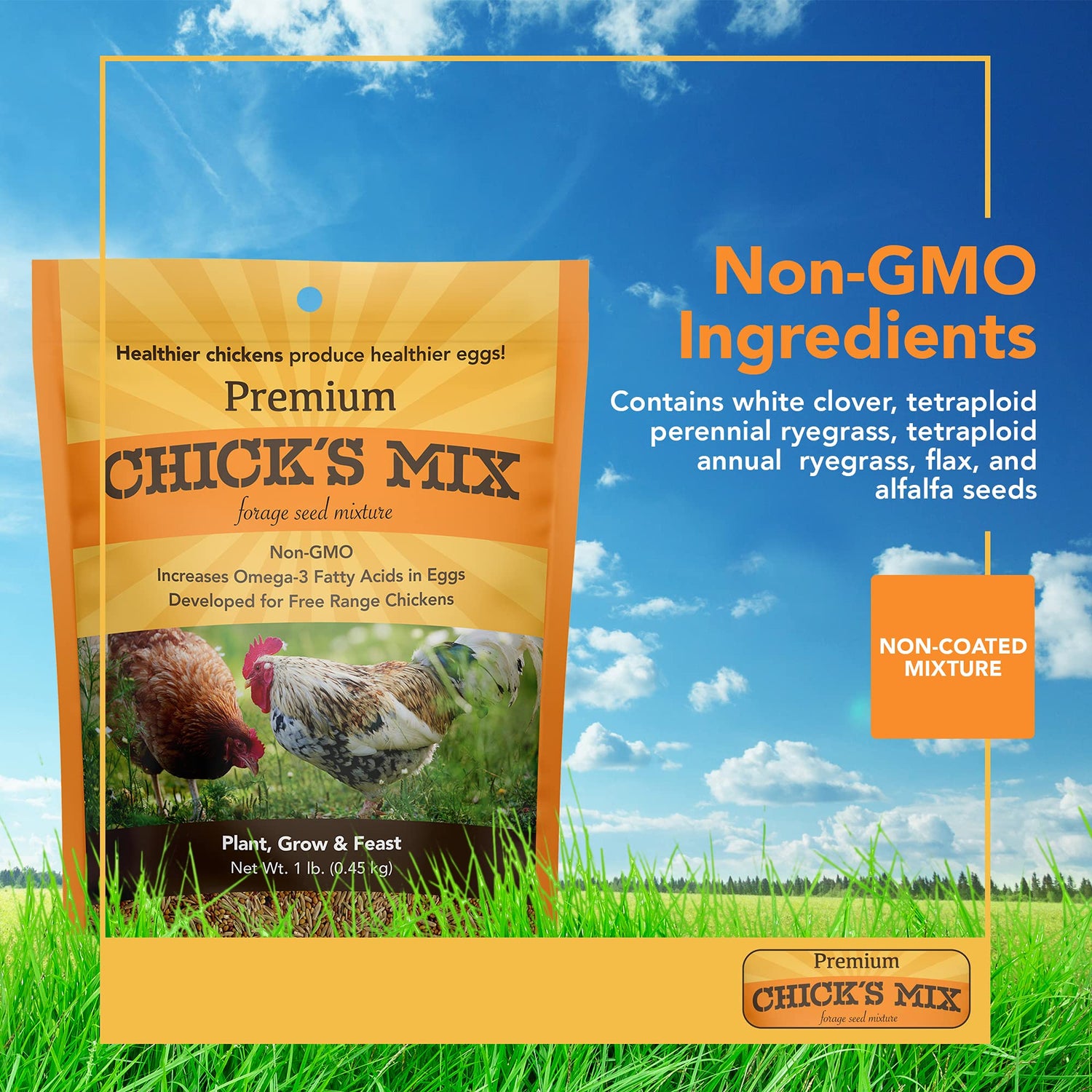 Chicks Mix Forage Seed Mixture