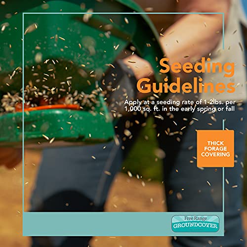 Groundcover Forage Seed Mixture