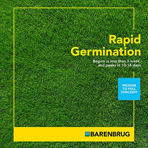 Turf Star | RPR Yellow Jacket