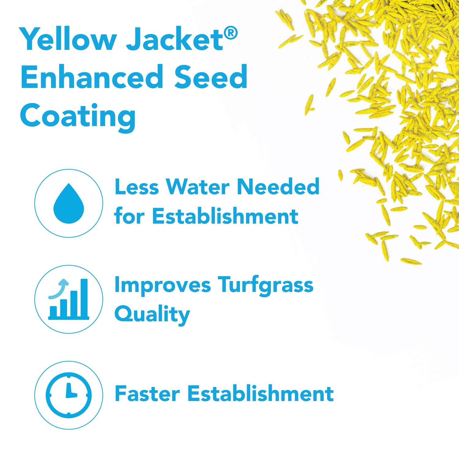 Turf Blue | HGT Yellow Jacket