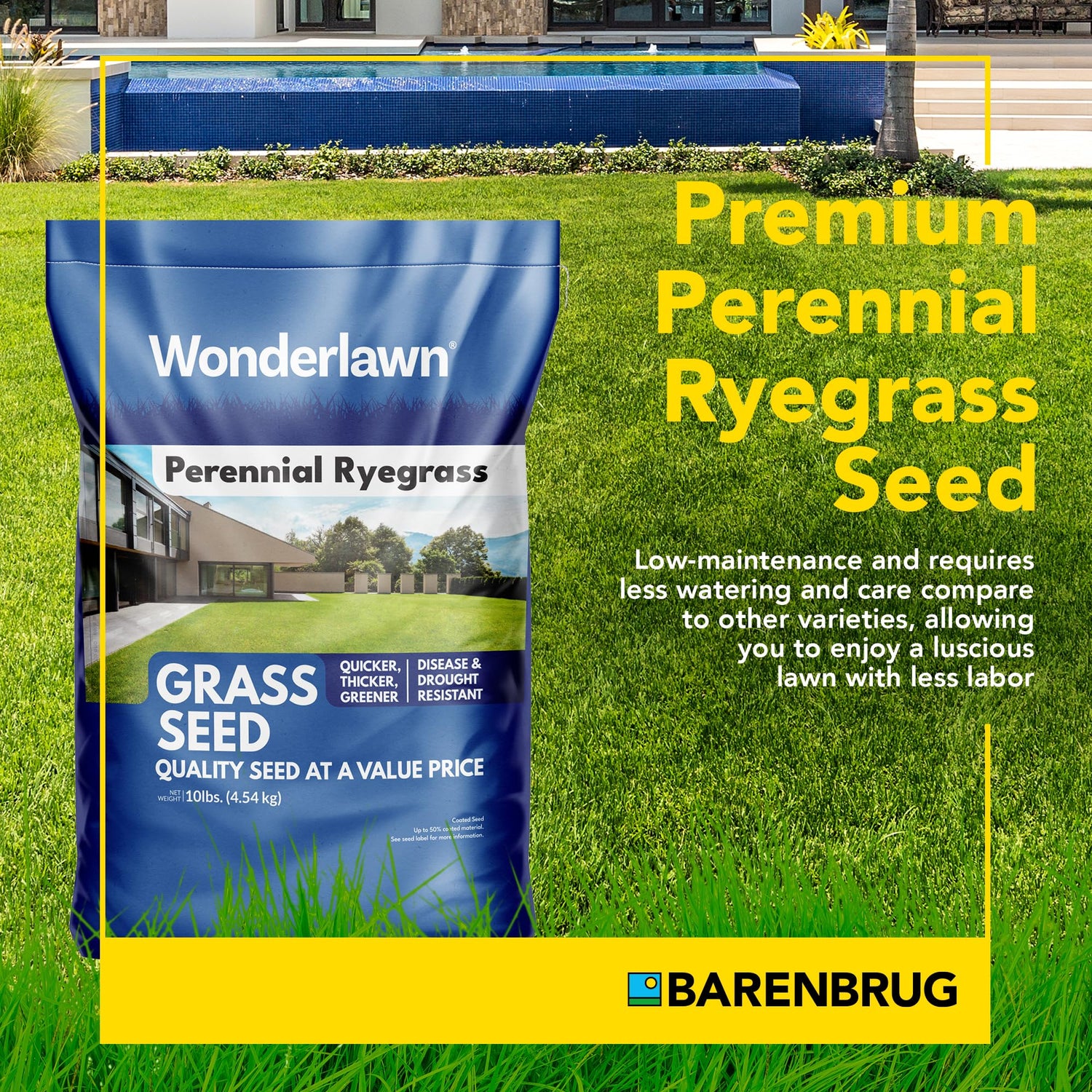 Wonderlawn® Perennial Ryegrass