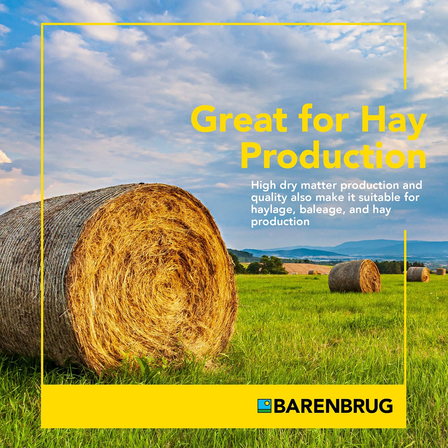 Horsemaster Premium Pasture Grass Seed Mix