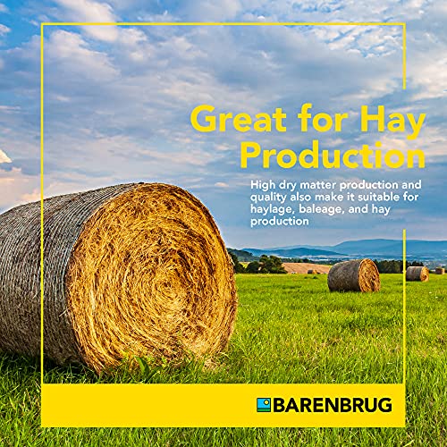 Pasture Overseeding Mixture