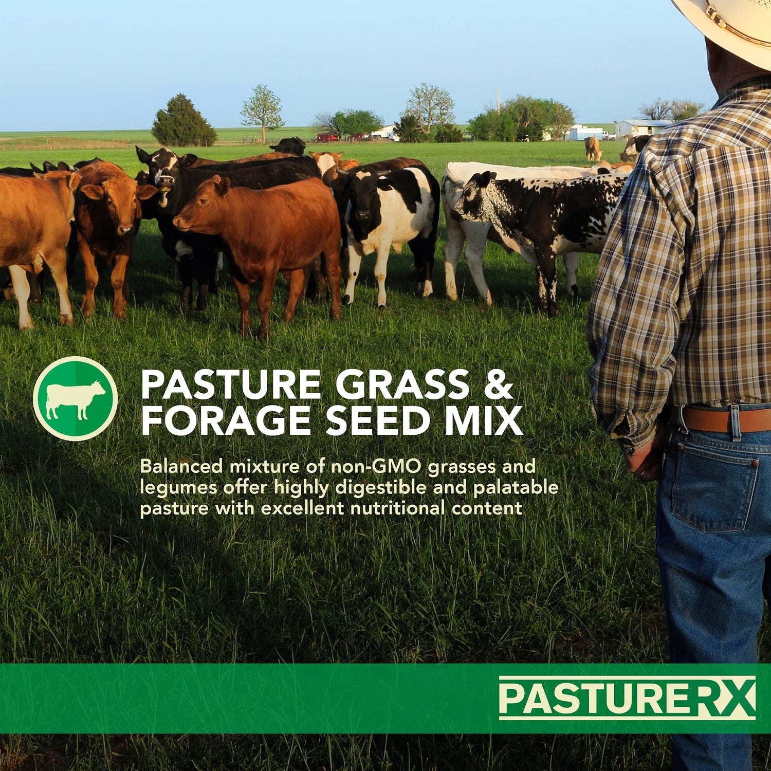 PastureRX Premium Forage Mixture