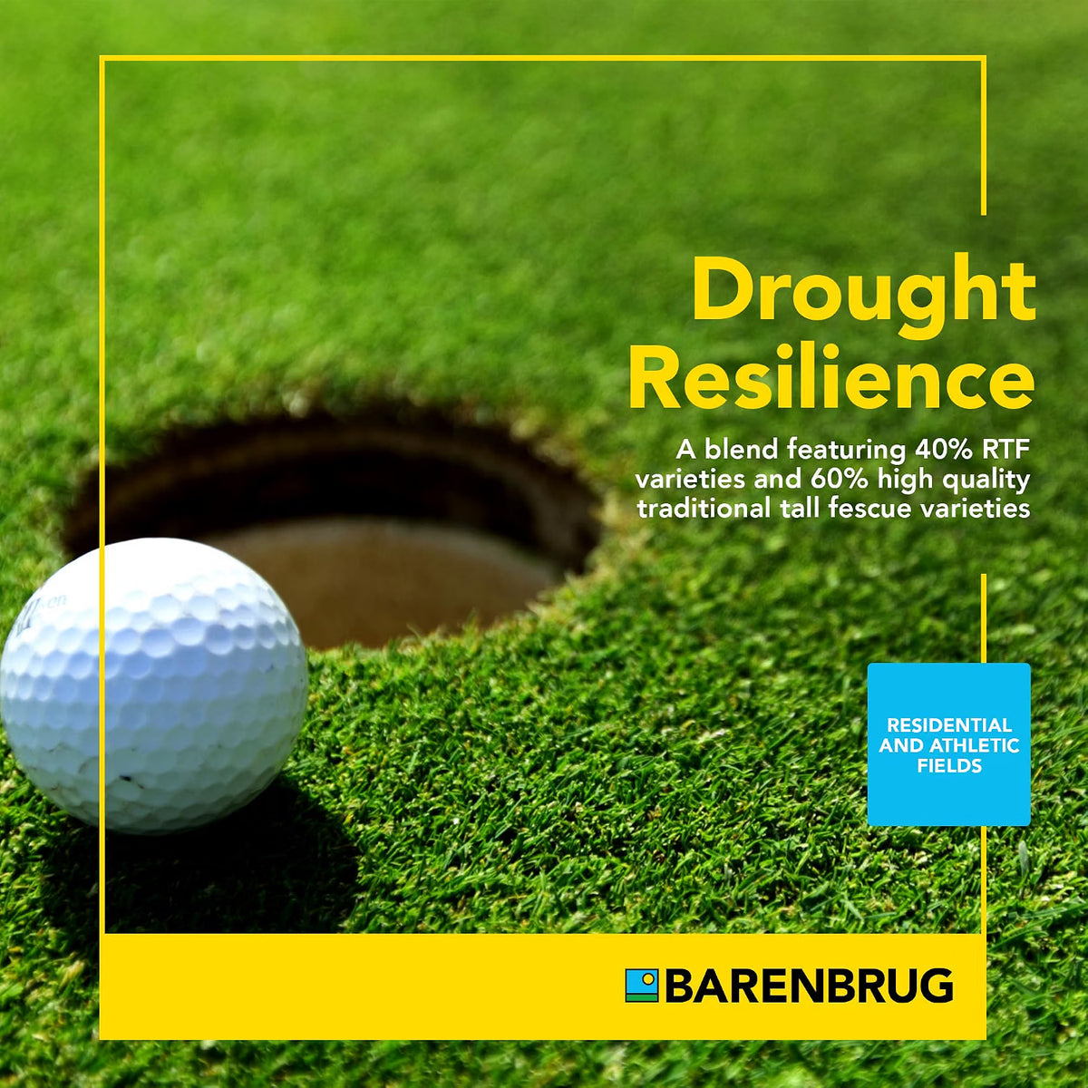 TURF SAVER® | RTF® Self-Repairing Tall Fescue