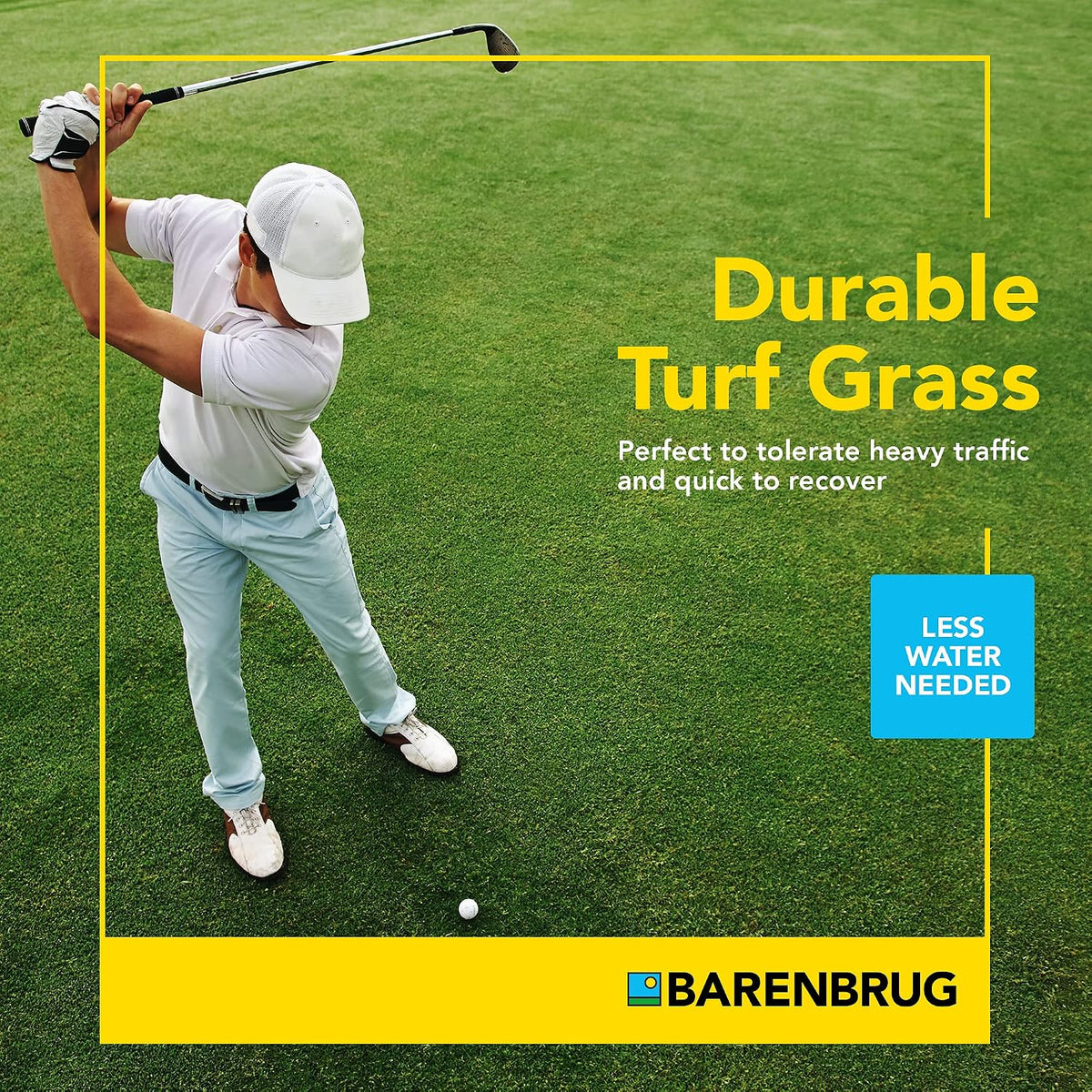 Wildfire™ Tall Fescue Blend