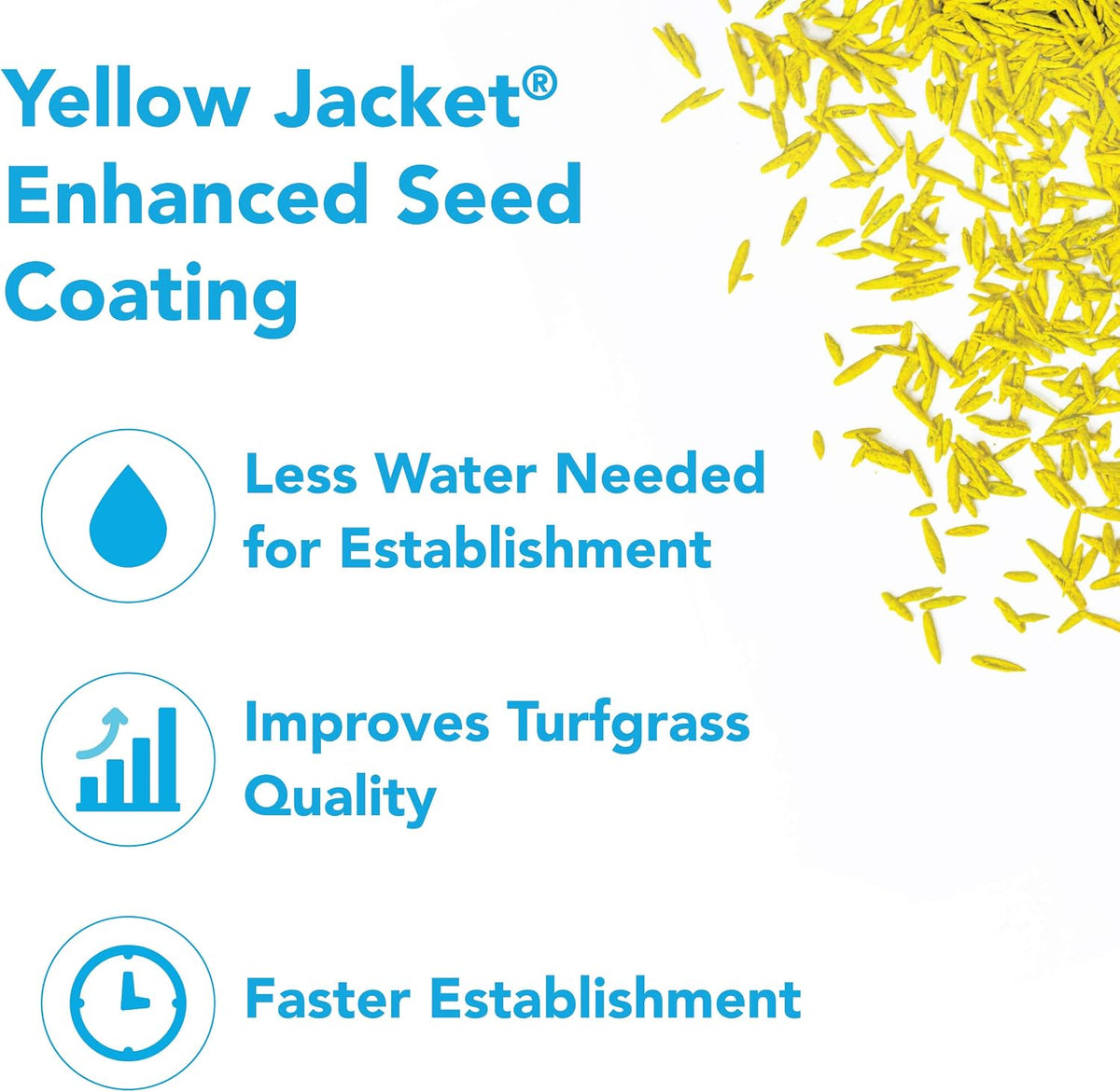 TURF SAVER® | RTF® Self-Repairing Tall Fescue