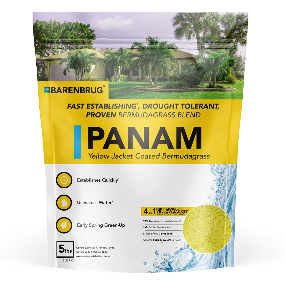PanAm™ Bermudagrass