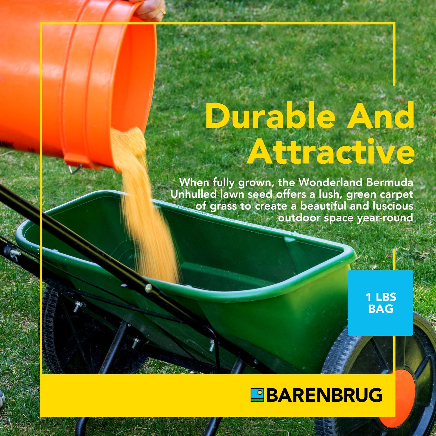 Wonderlawn® Barmuda