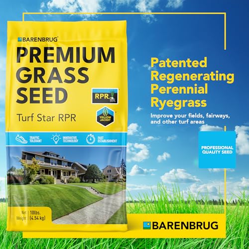Turf Star | RPR Yellow Jacket