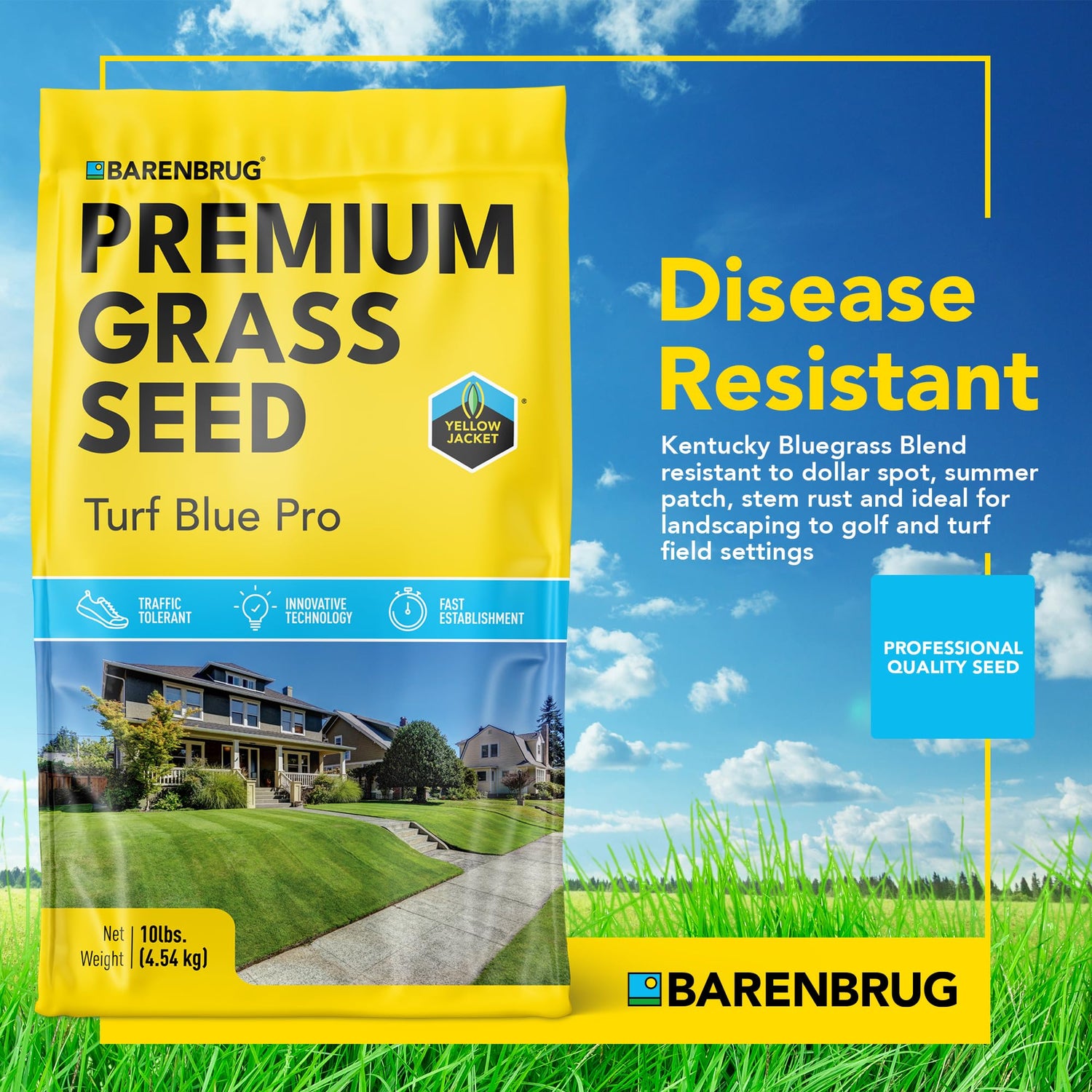 Turf Blue Pro - Kentucky Bluegrass