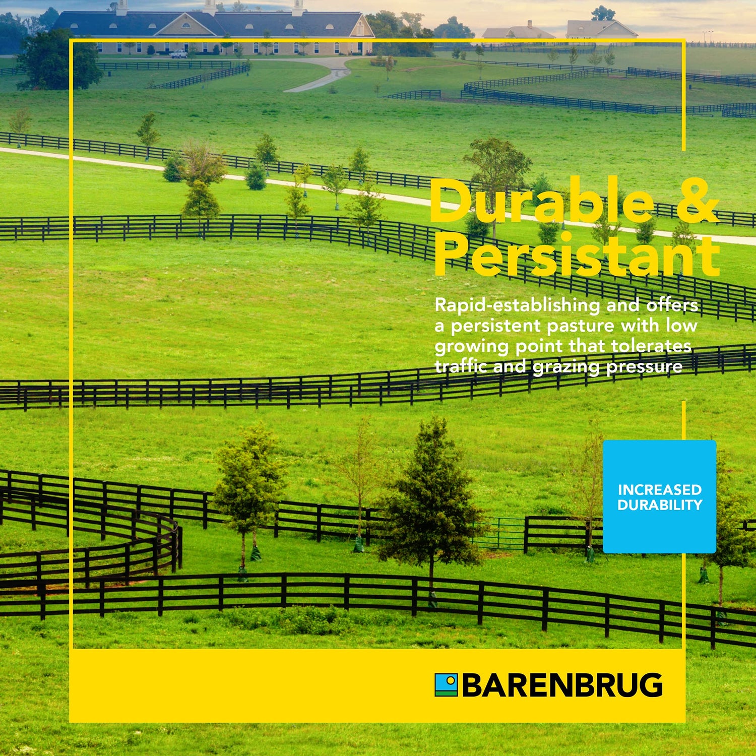 Horsemaster Premium Pasture Grass Seed Mix