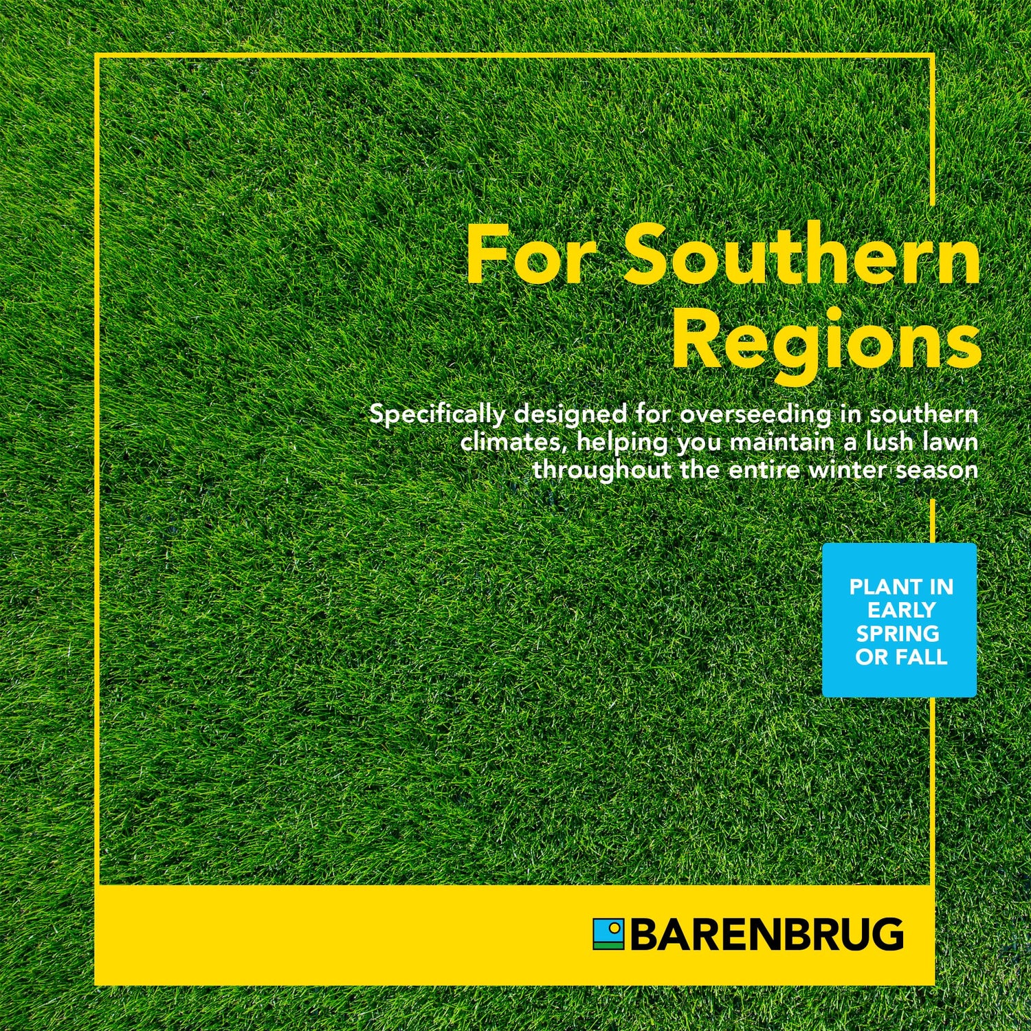 Wonderlawn® Perennial Ryegrass