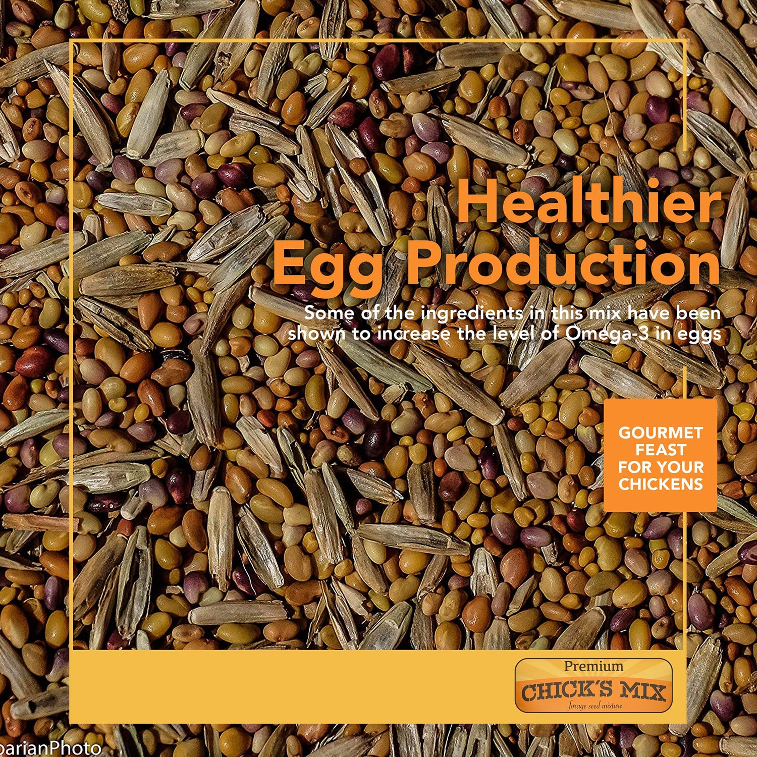 Chicks Mix Forage Seed Mixture