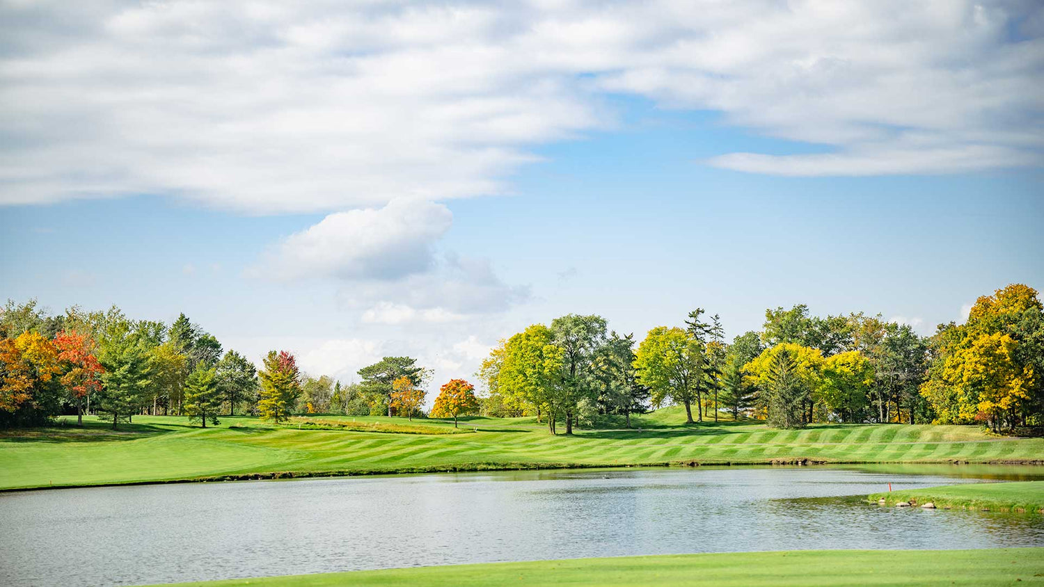 Premium Grass Seed by Barenbrug