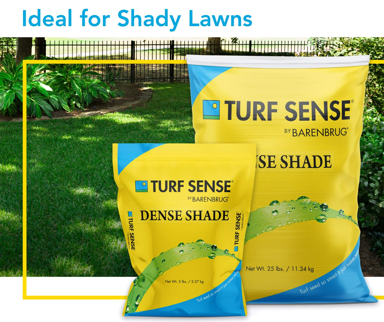 Turf Sense® Dense Shade