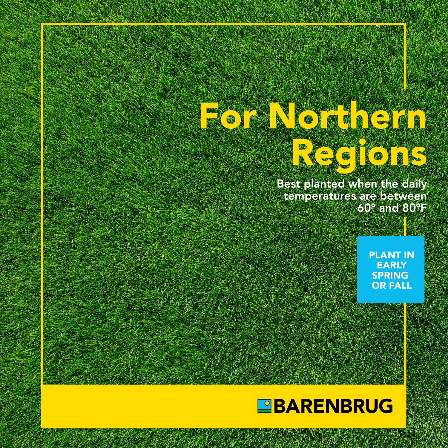 Pasture Overseeding Mixture