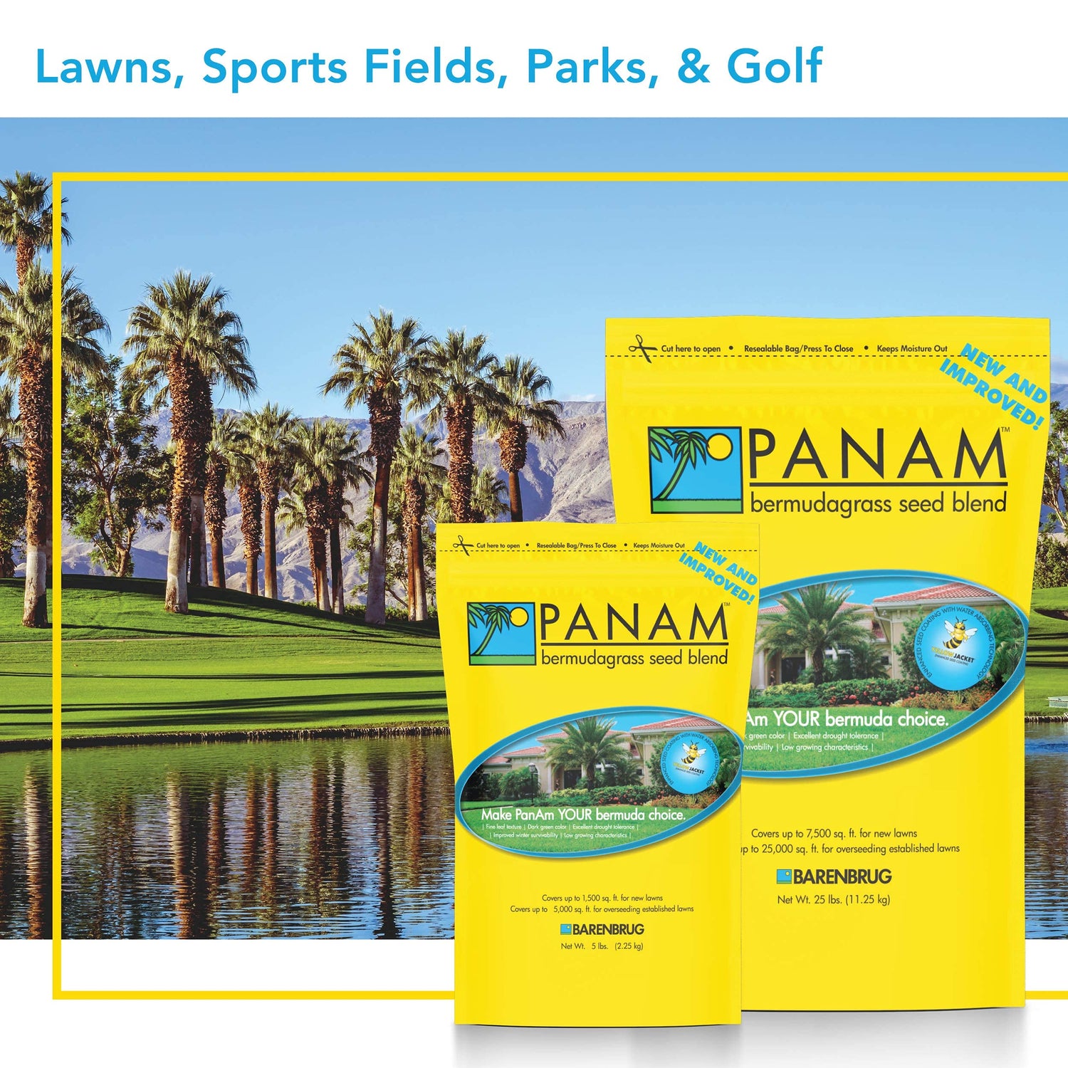 PanAm™ Bermudagrass