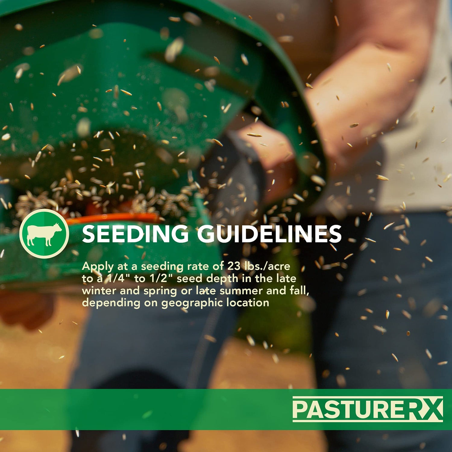 PastureRX Premium Forage Mixture