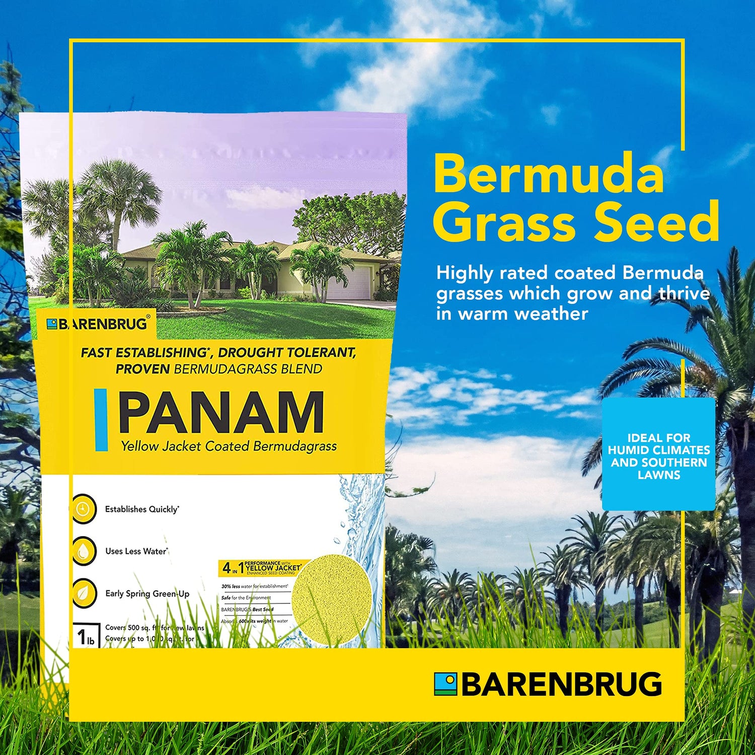 PanAm™ Bermudagrass