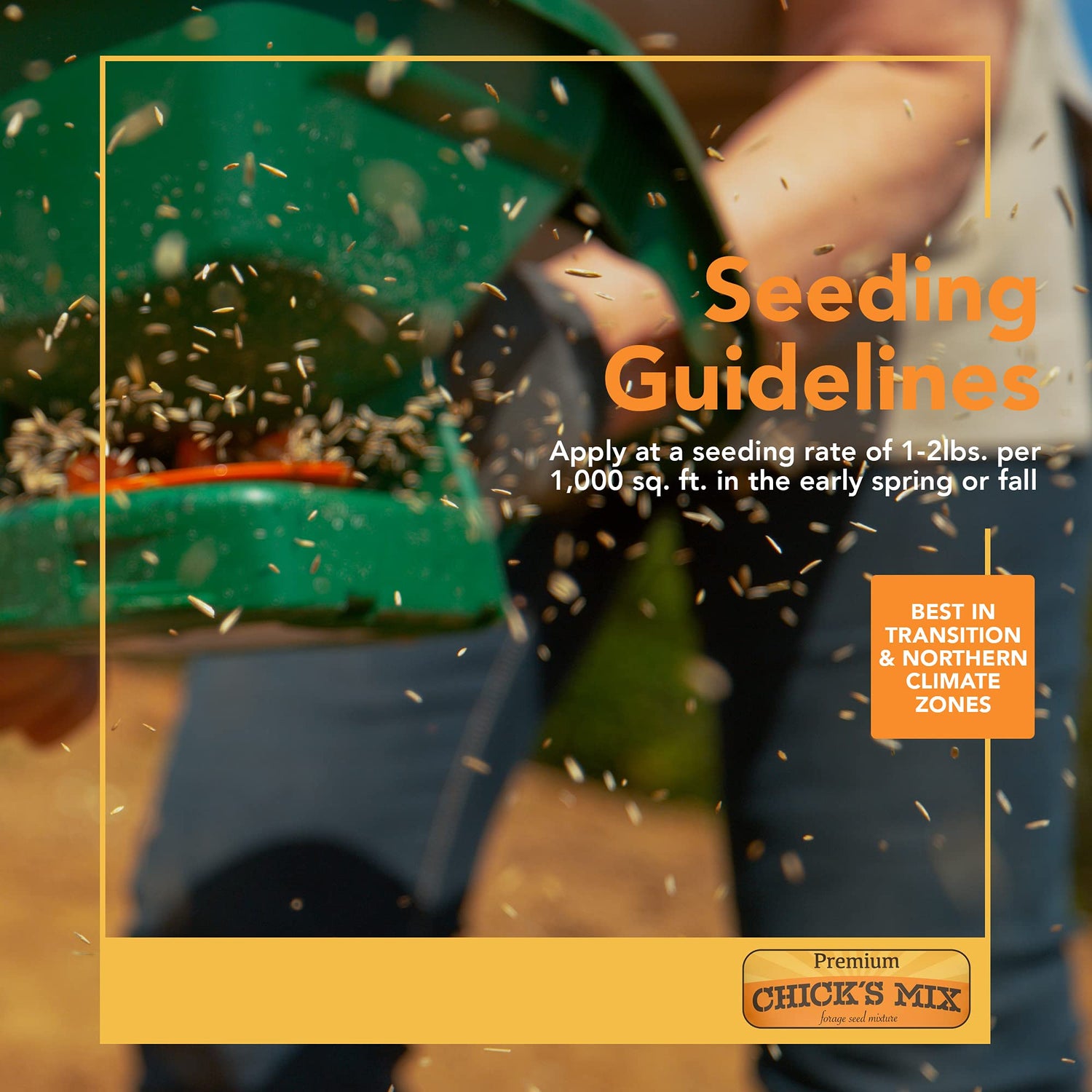 Chicks Mix Forage Seed Mixture