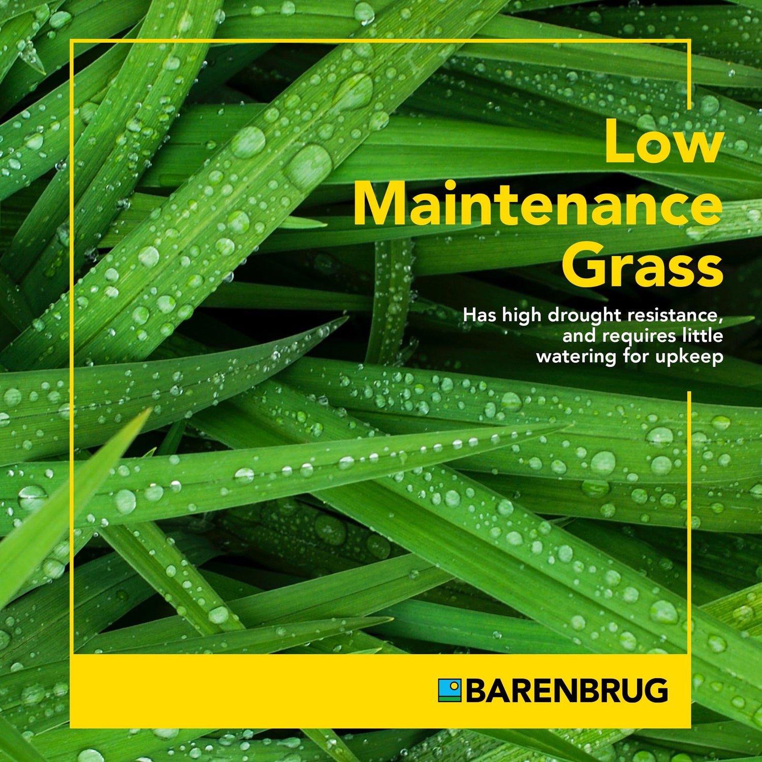 Wonderlawn® Landscaper