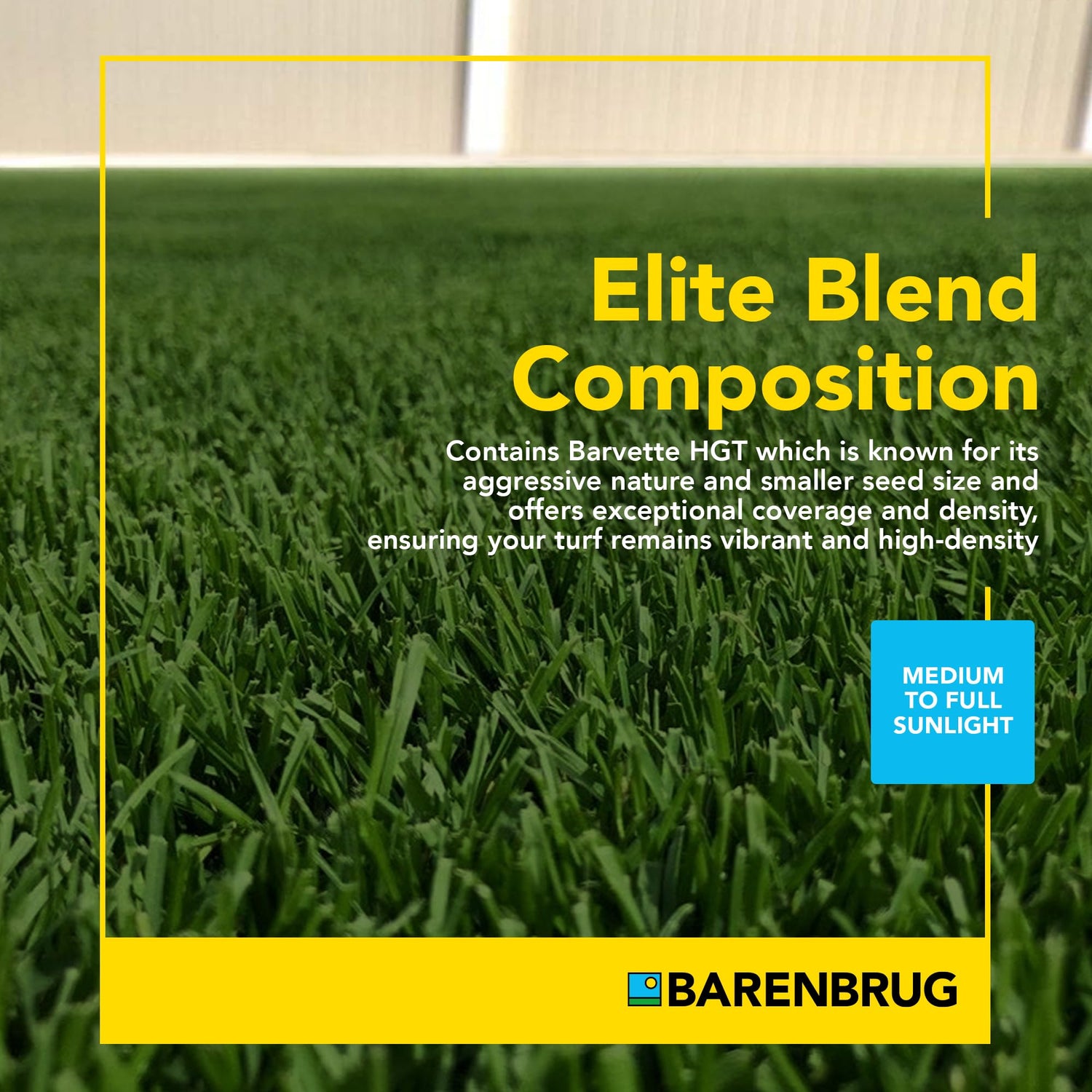 Turf Blue | HGT Yellow Jacket