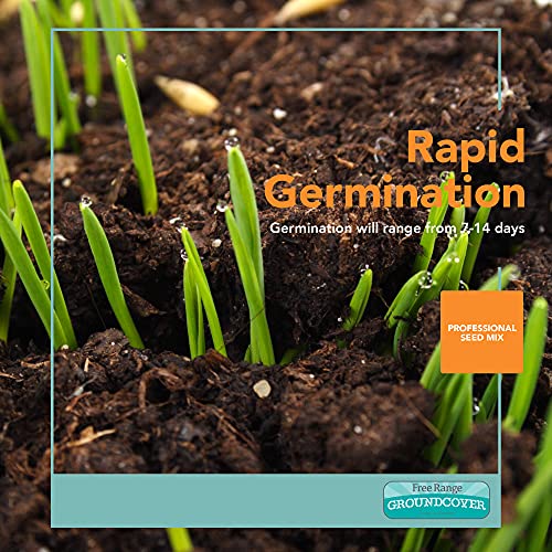 Groundcover Forage Seed Mixture