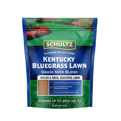 Schultz Kentucky Bluegrass Lawn Seed Blend packaging on a white background