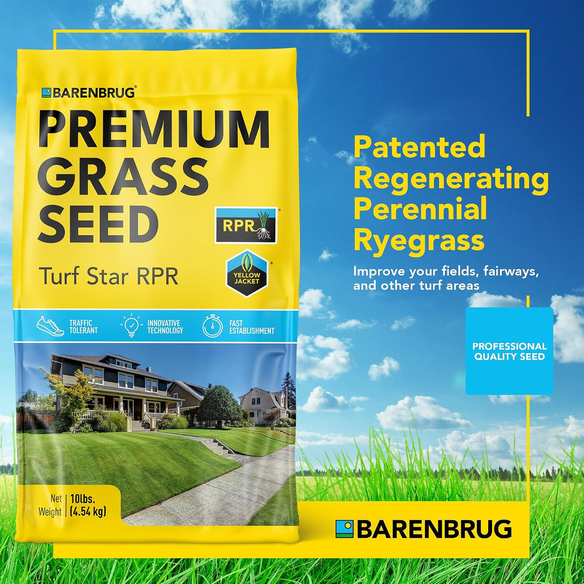 TURF STAR® | RPR® Regenerating Perennial Ryegrass Blend