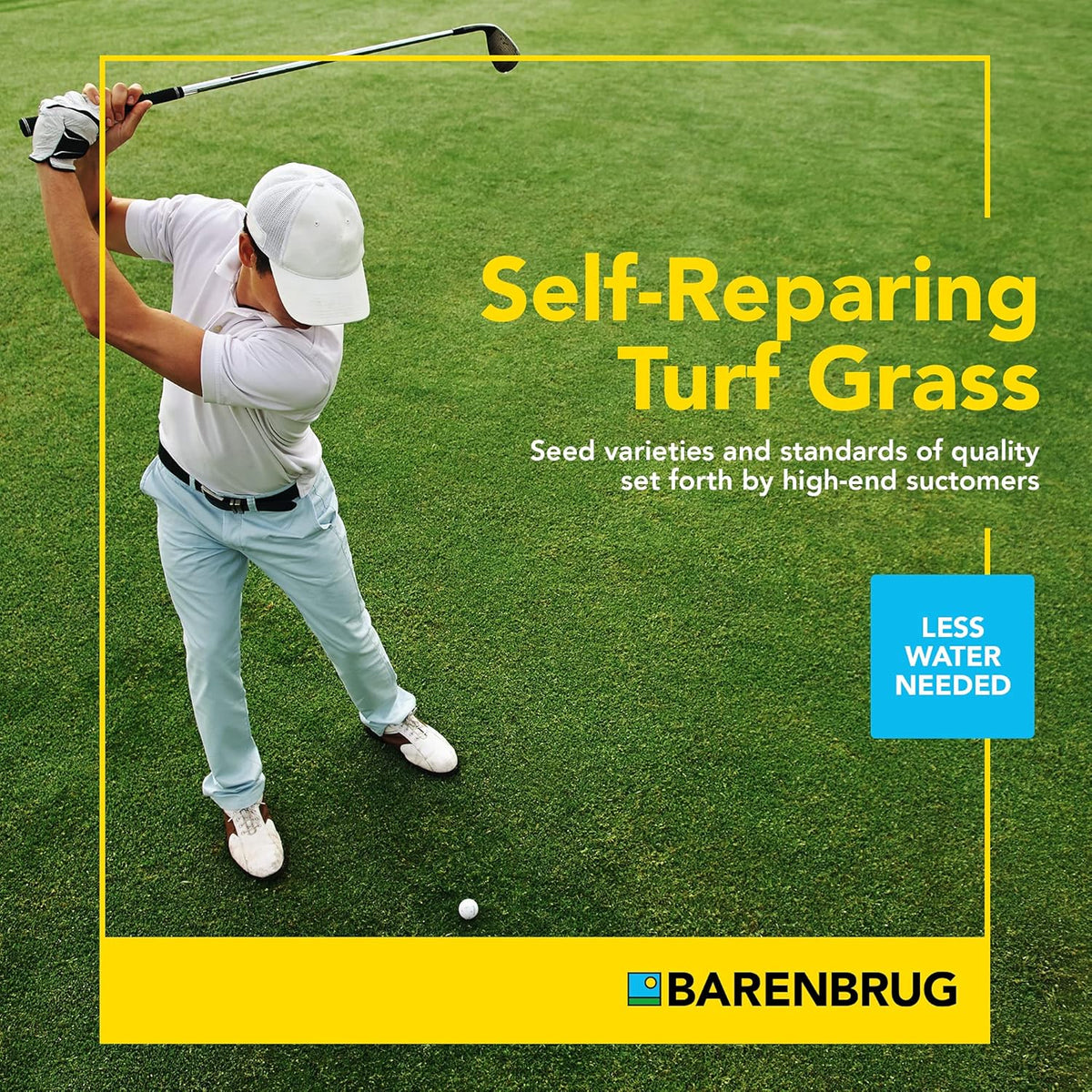 TURF STAR® | RPR® Regenerating Perennial Ryegrass Blend