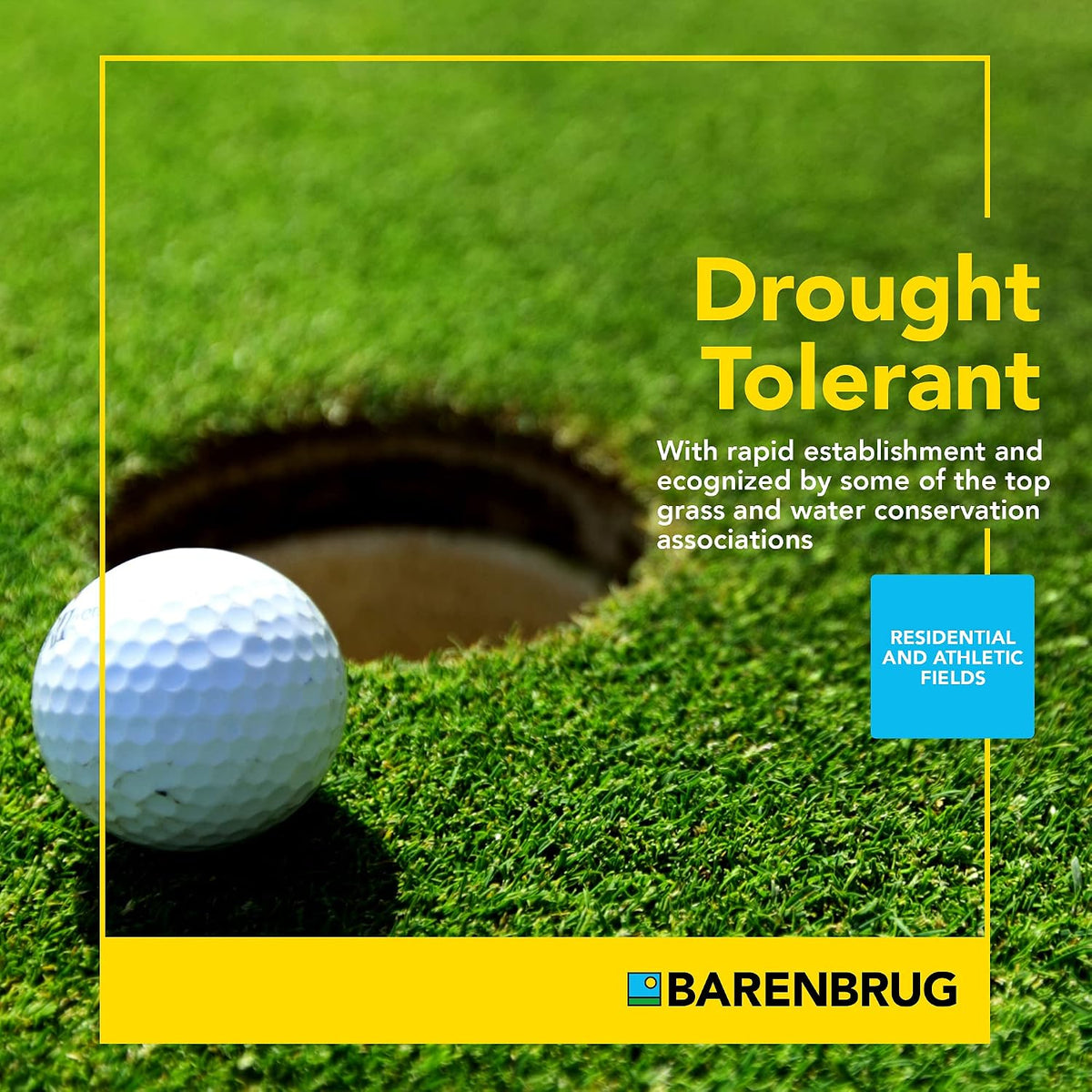 Wildfire™ Tall Fescue Blend