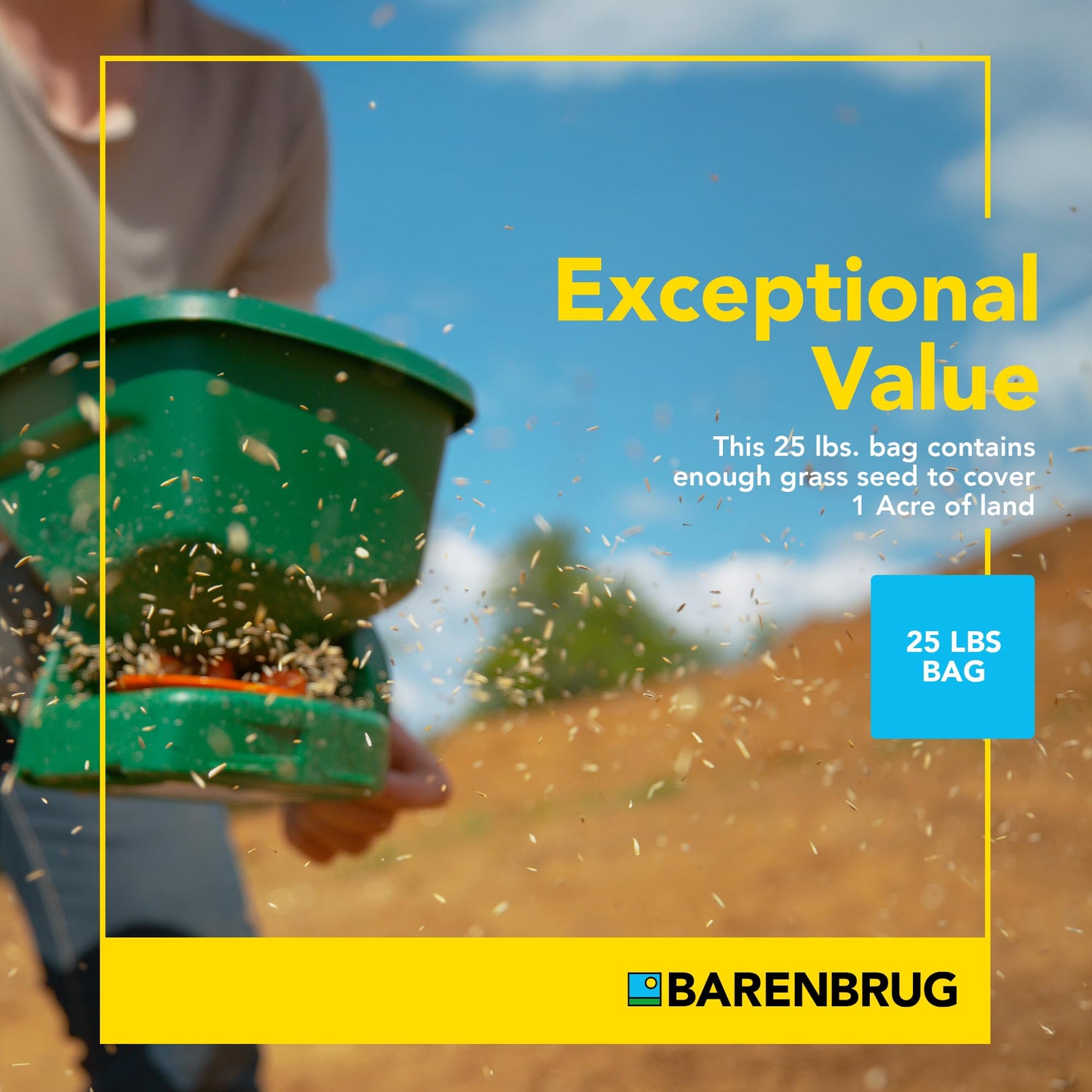 Pasture Overseeding Mixture