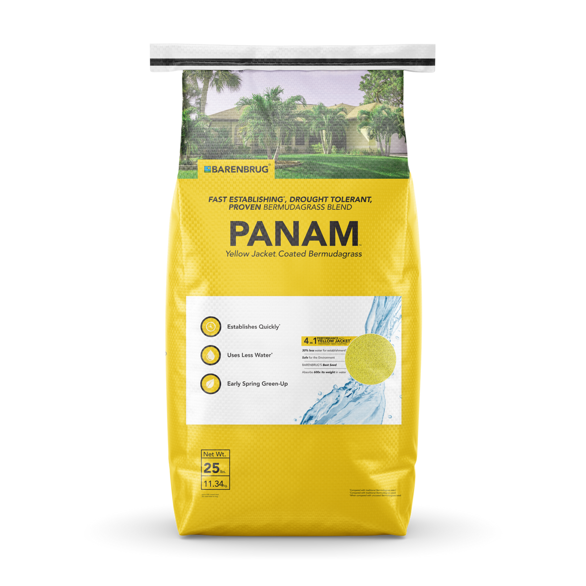 PanAm™ Bermudagrass