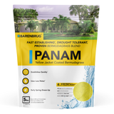 PanAm™ Bermudagrass