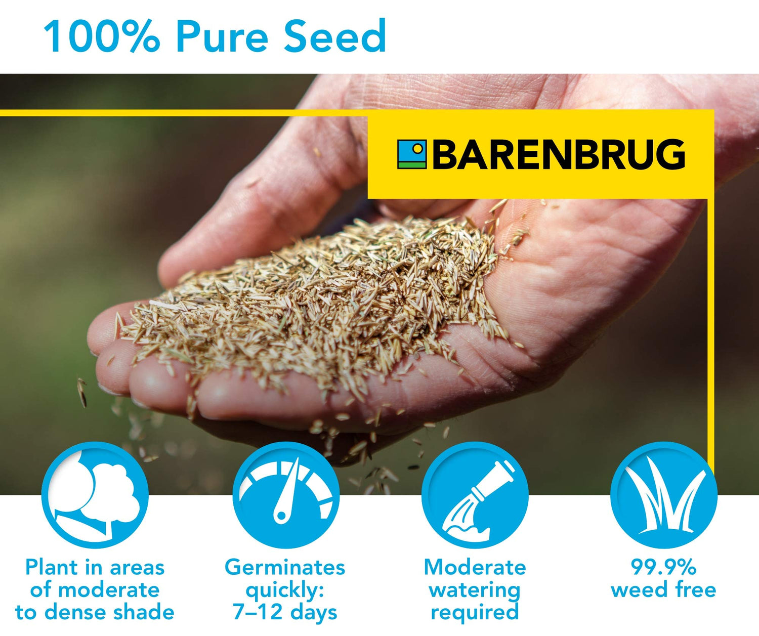 Turf Sense® Dense Shade