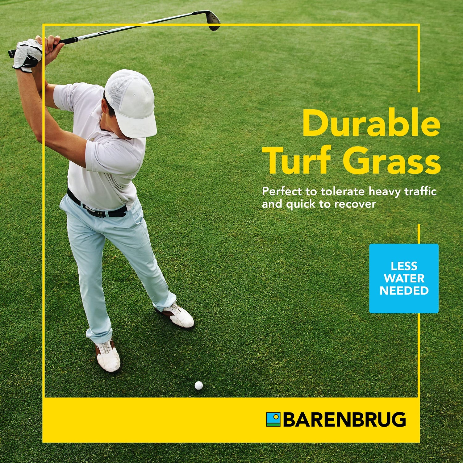 Turf Blue Pro - Kentucky Bluegrass