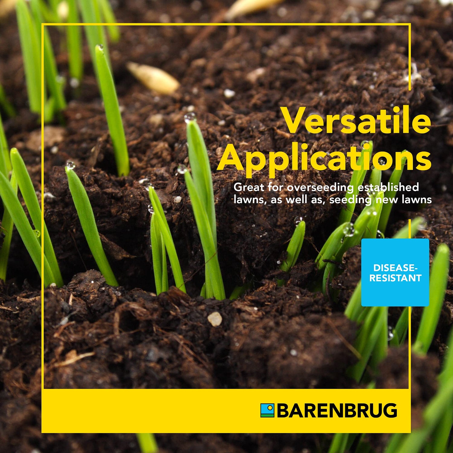 Green grass sprouts emerging from soil with Barenbrug branding and text about versatile applications.