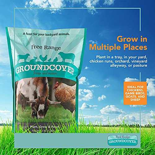 Groundcover Forage Seed Mixture