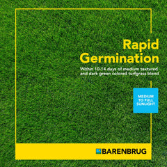Barenbrug rapid germination turfgrass blend advertisement with green grass background