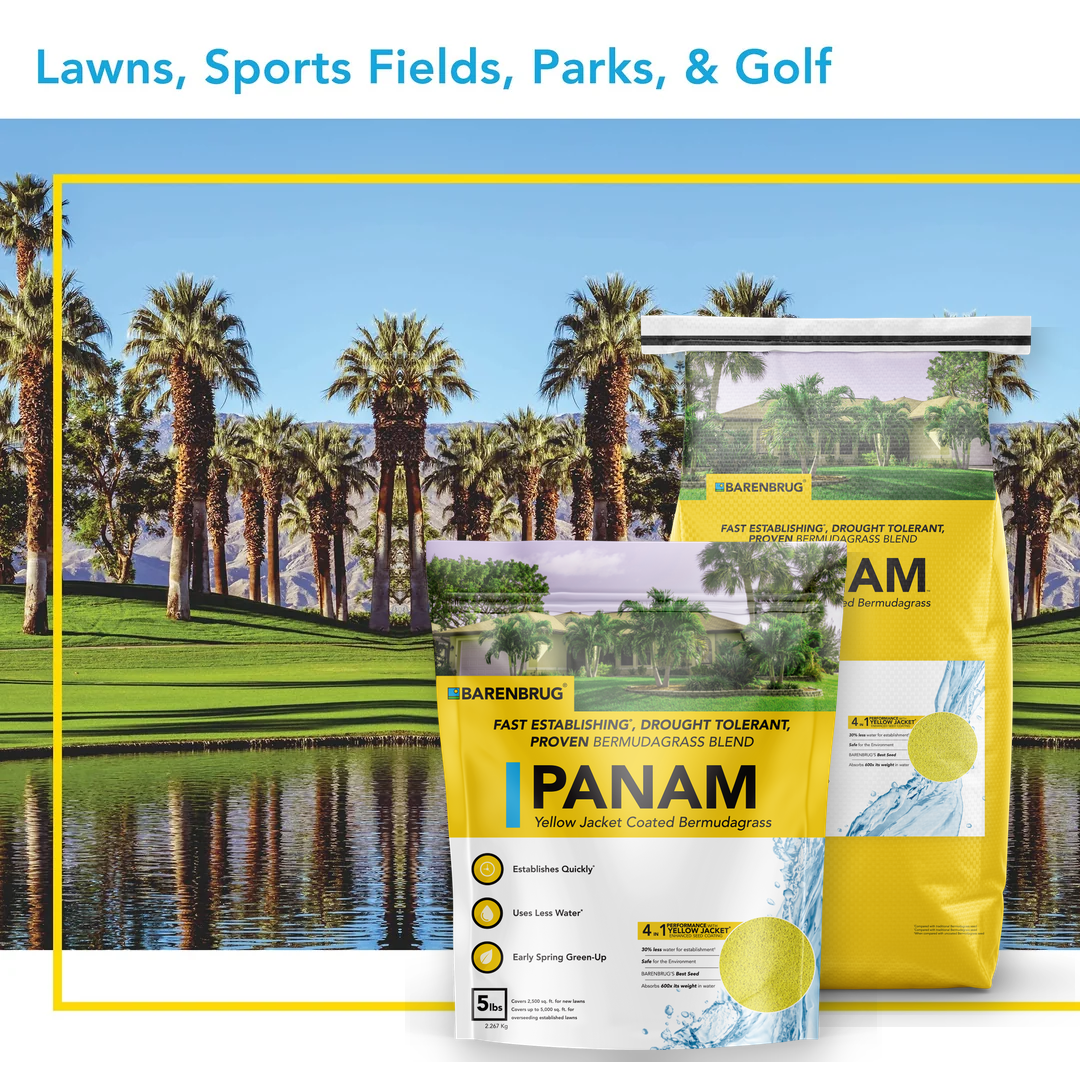 PanAm™ Bermudagrass